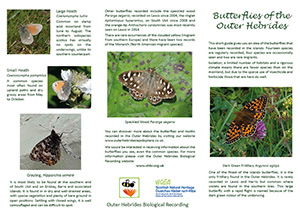 Butterfly Leaflet